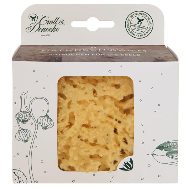 Naturschwamm in Geschenkbox Größe L ca. 12-13 cm