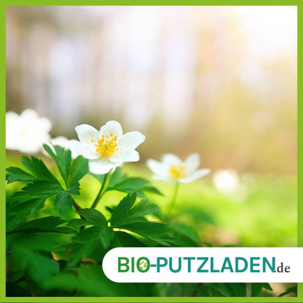 fruehjahrsputz-2_blog-bio-putzladen